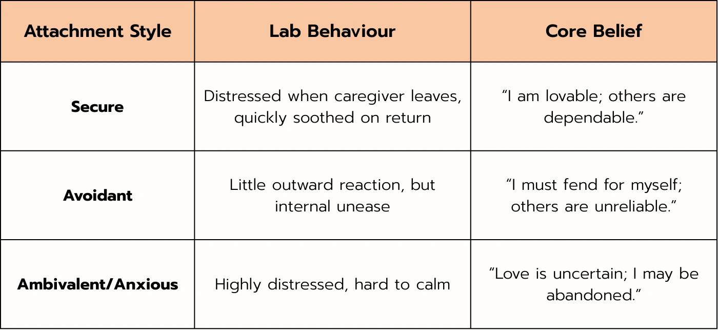 Table representing Ainsworth's Strange Situation in Attachment Styles
